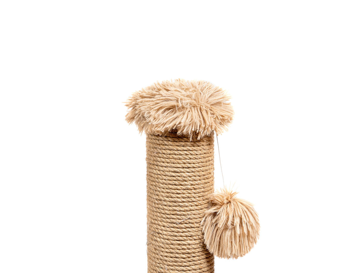 V8HA95E696442906AEE90E28E3CFF9A1B9FR3876383P5