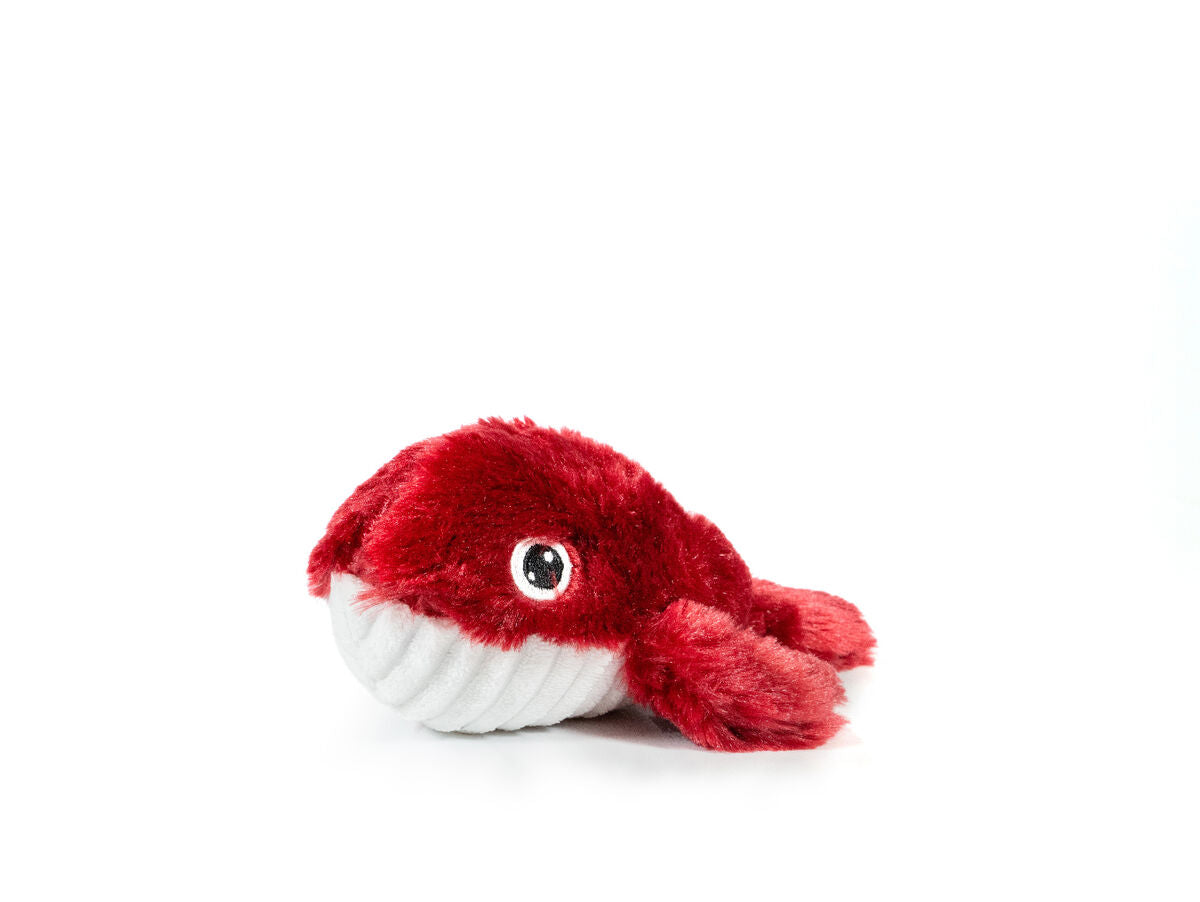 V10H0EA28244841A4EE4A475130FDE52A108R6577741P2