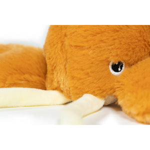 V11H505E55B04FF22E3884BB7E682ACD632CR6577813P4