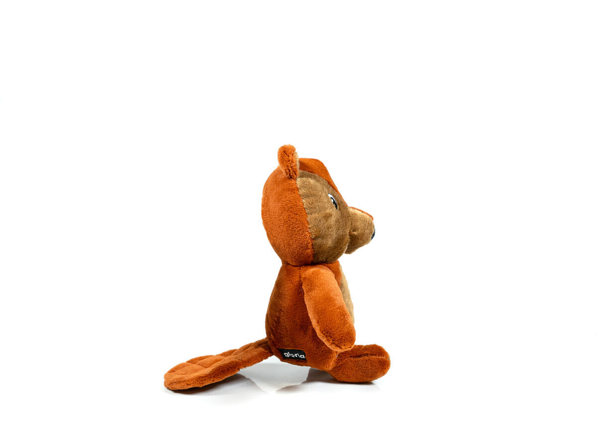 V9H892E26AFFBD15BE108C1EBF98B06D47AR3710449P5