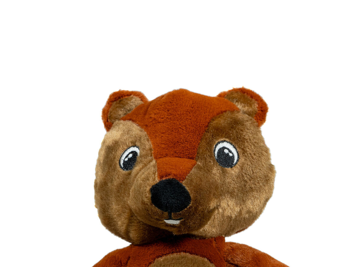 V9H1CC4B2162A8FF537DE055CC1913EF9B7R3710451P7