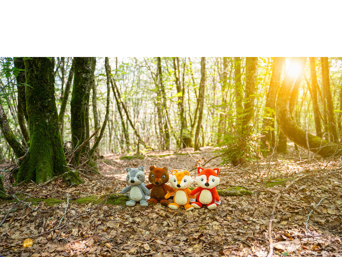 V9HEE91B76534424AB20B57E16BCB06A3E4R3710447P3