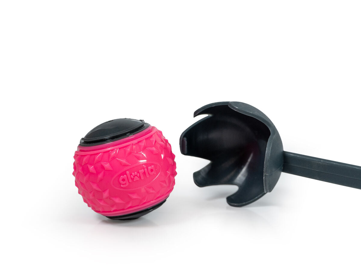 V6H8EEE08DD9AD8C7221F15F496020CB84DR5336275P1