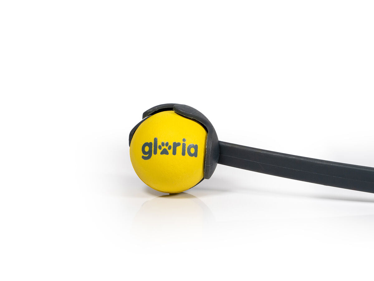 V6HAD375D90D4D5B138B2A08FF694C216CAR5336297P4