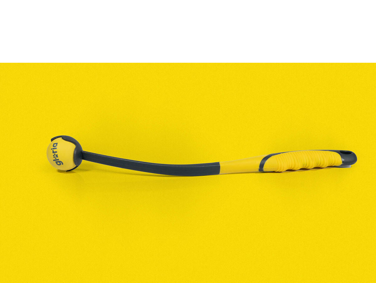 V6H048C65403CB2E0B835BAA145BB2BBD37R5336299P5