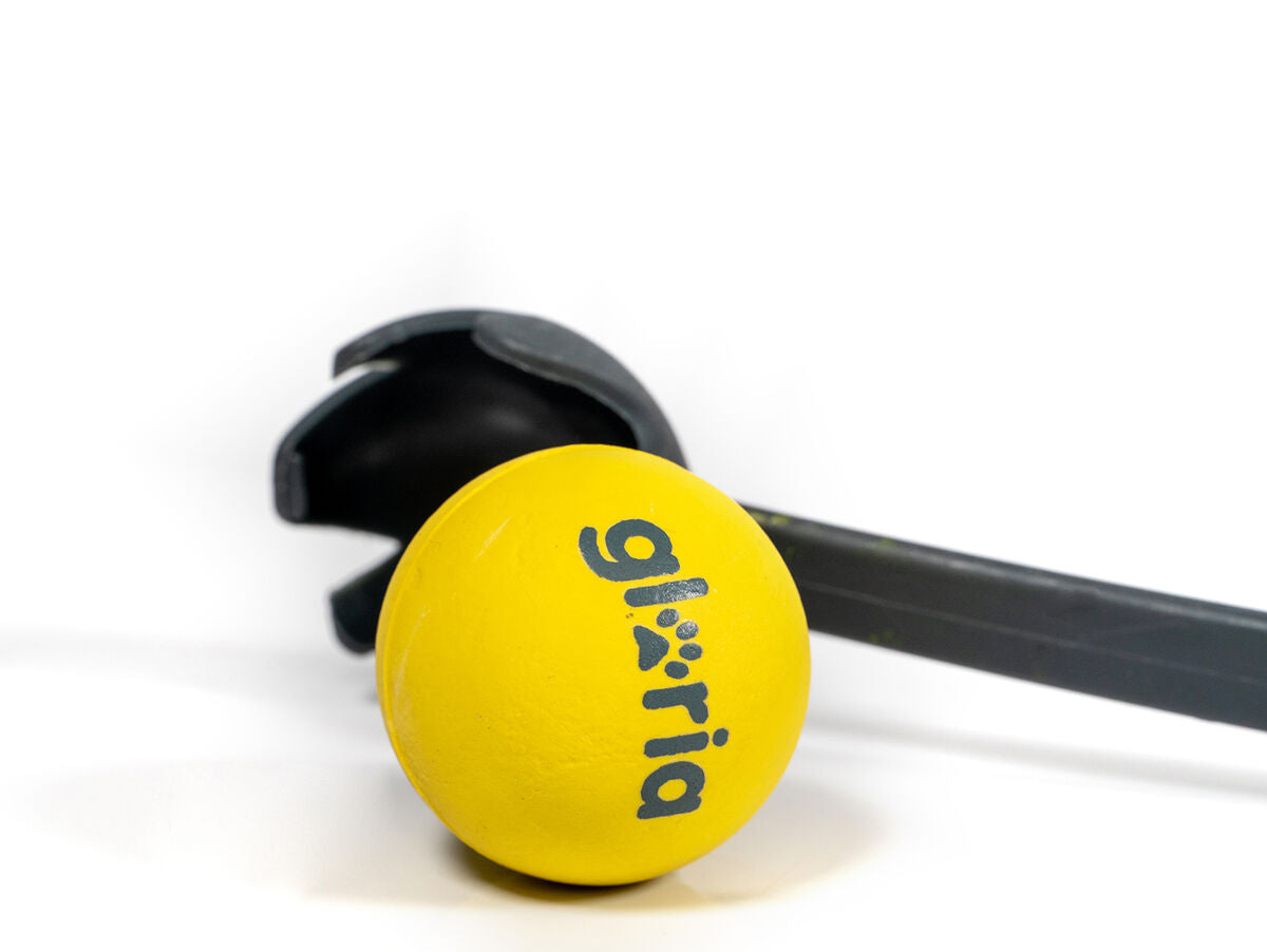 V6H1B4A73581195D335C1E6B457E643ACE4R5336301P6