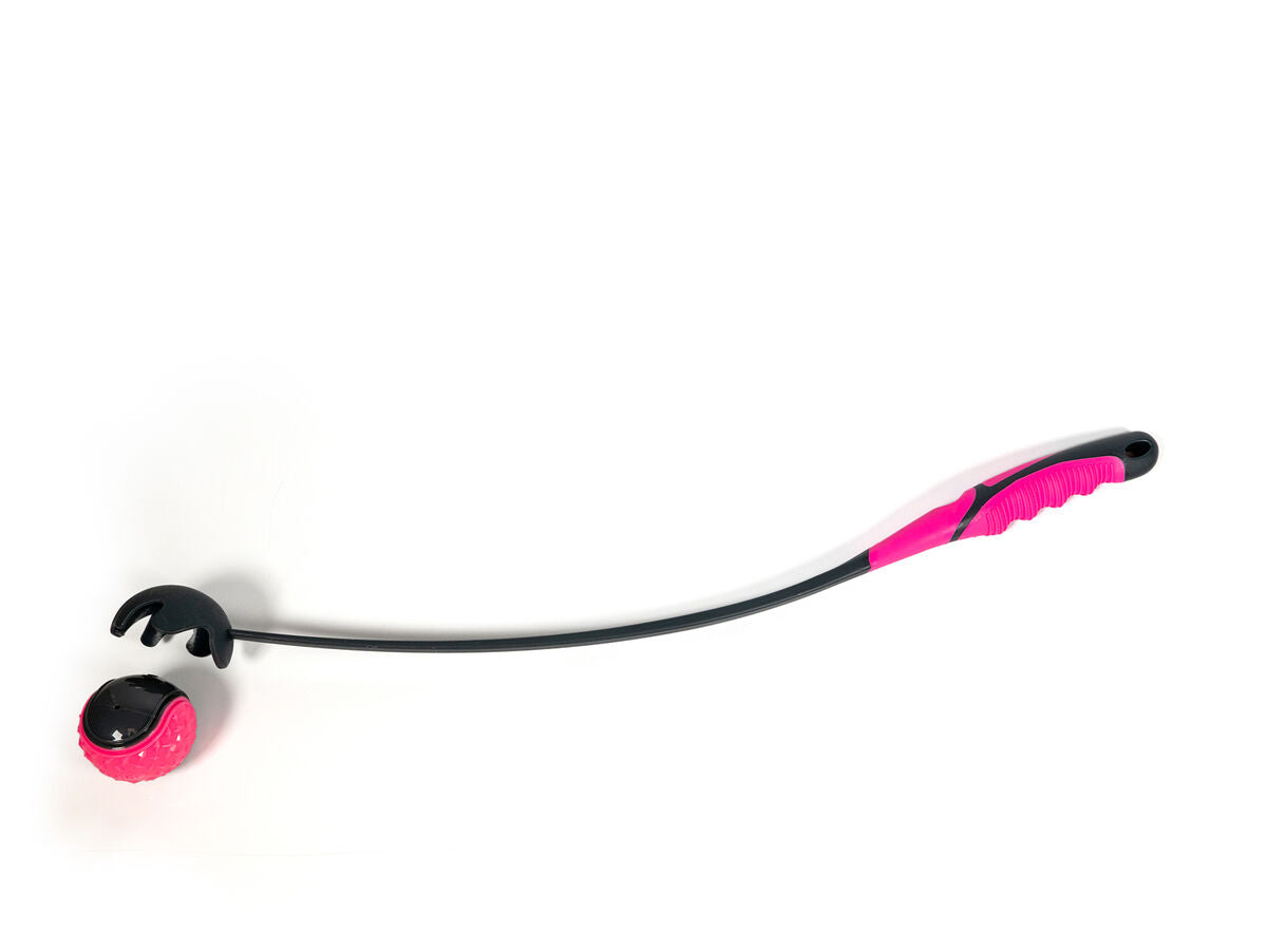 V6HDE679C5B766F52474911C0E7853A0C8ER5336307P1