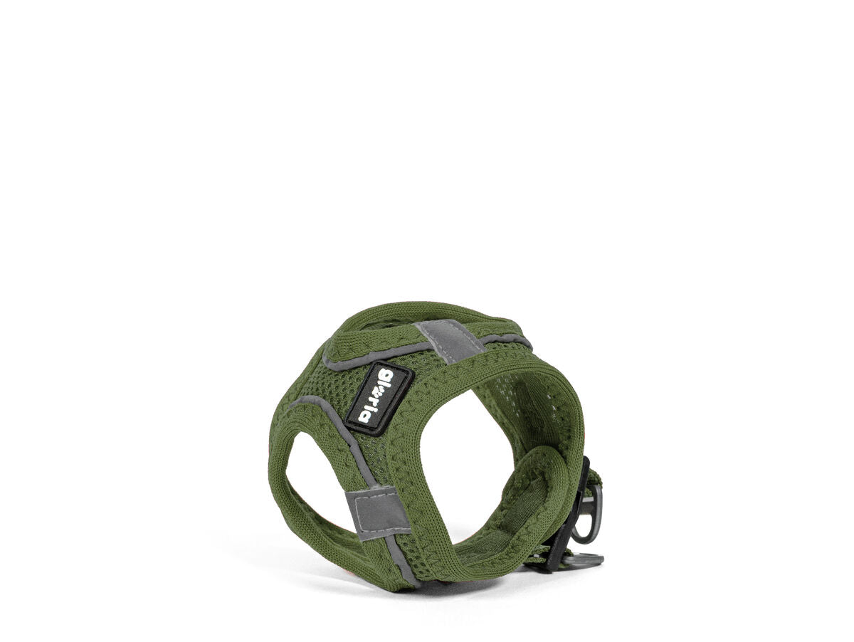 V8HB1A56730DB1C66B3F86A107D5C891FEAR3627733P5