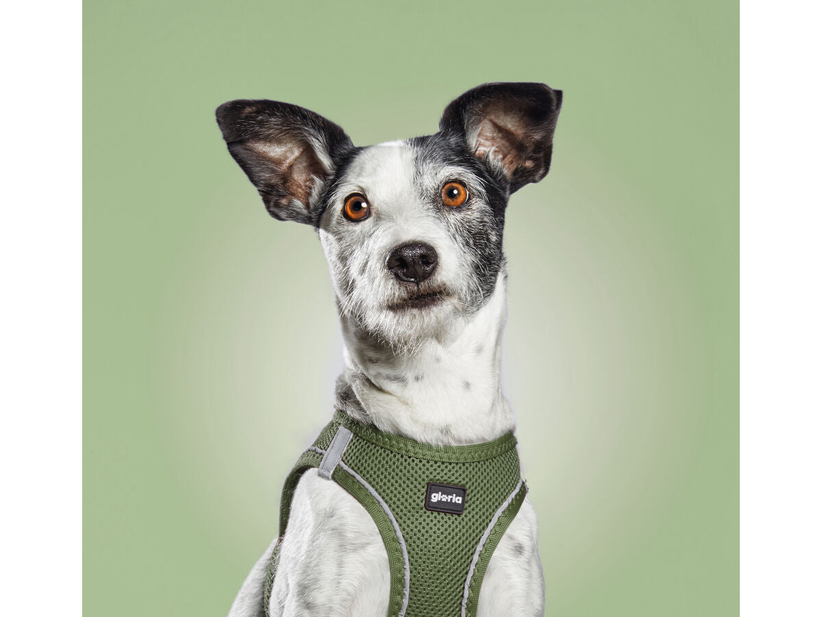 V8H318976B789C1E6F11C666DBCF616D3C5R3627738P6