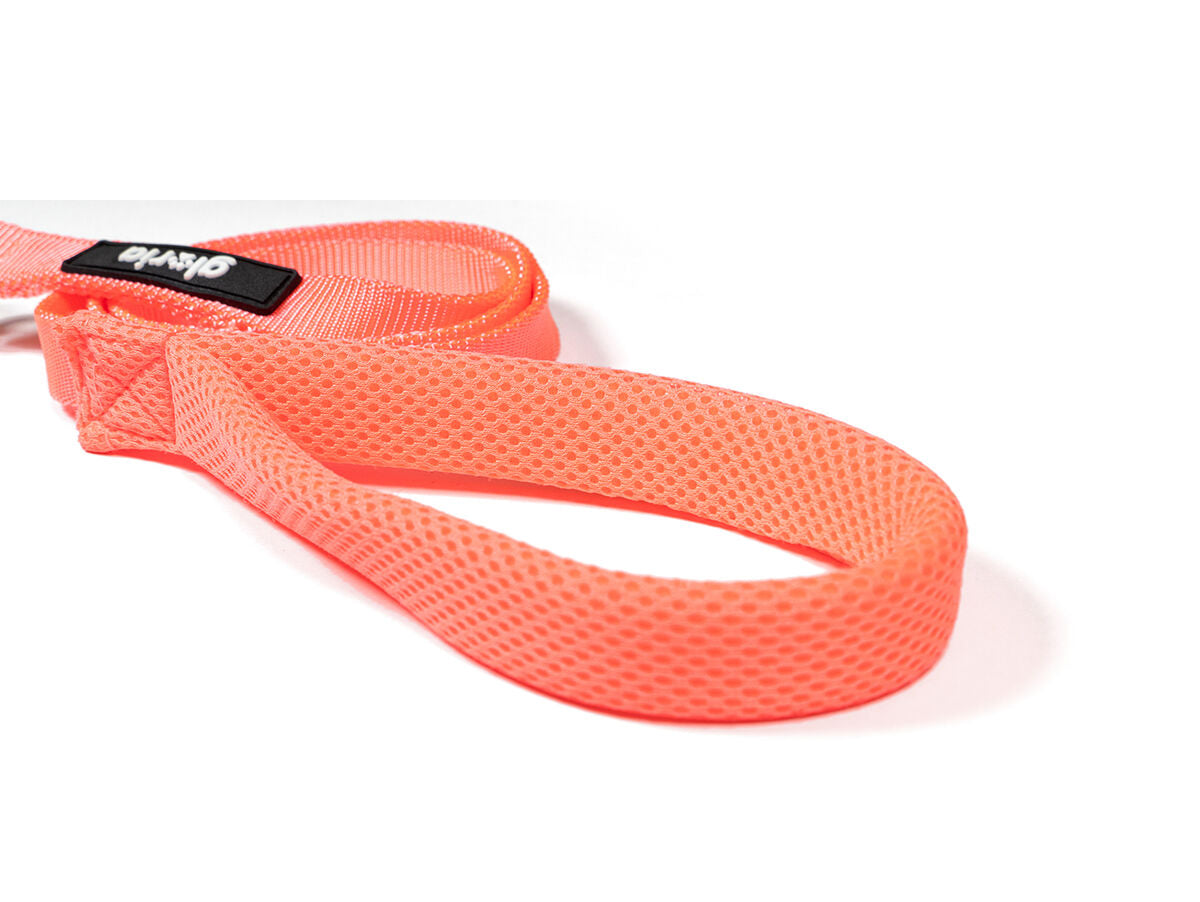 V6H4DEC06669ACDC1BFE983ACD5556FDBE9R5404152P3