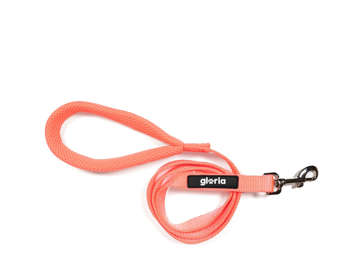 V6H20C49204A6FB24E229C69D8050D0DB24R5404150P1