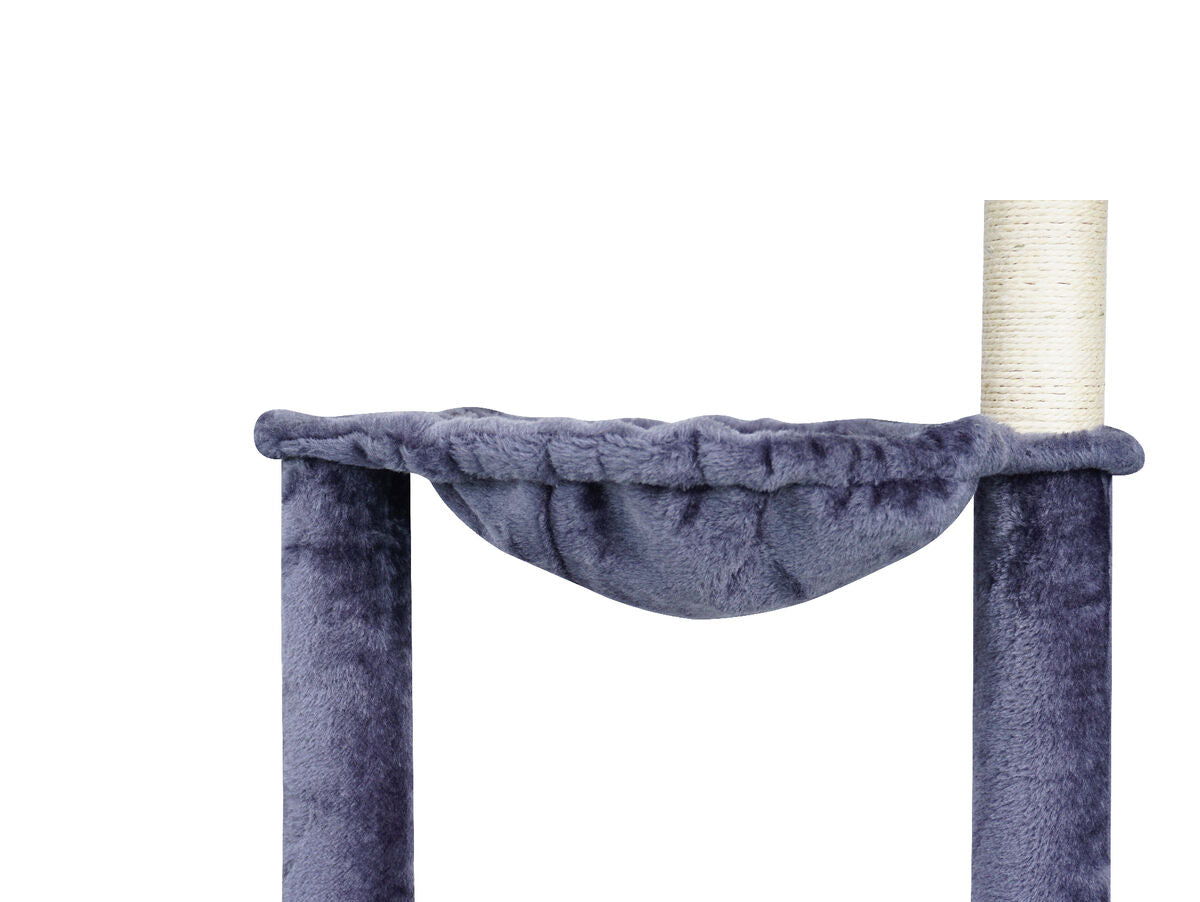 V5HC2C56AA58E6D99A80C8B371138C44D56R5554689P2