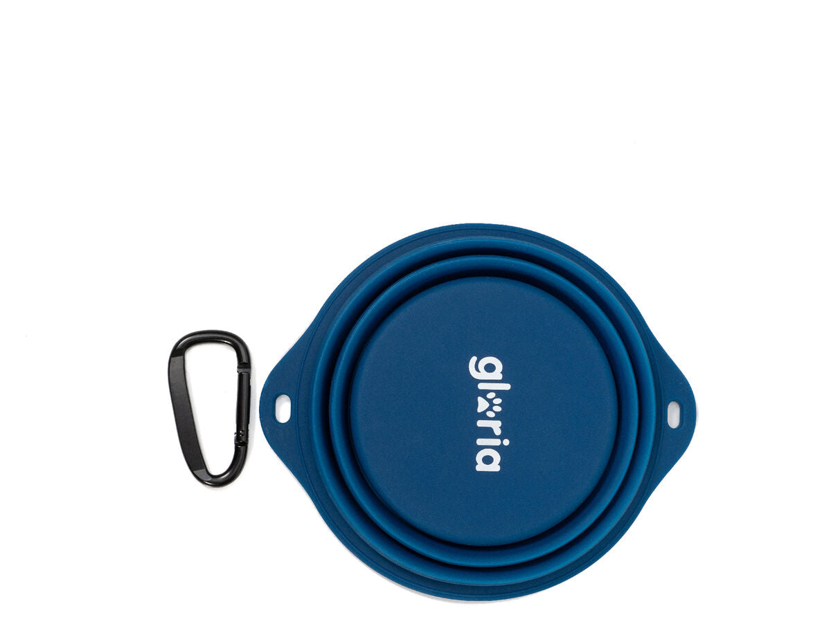 V6HFA7A3D460EEED5921179491043590526R5336447P8