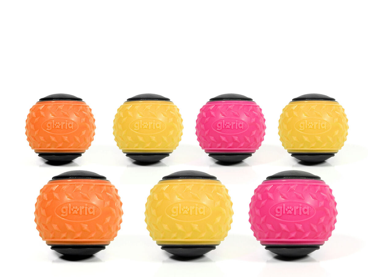 V6HF23E1F810D084C07F73EEC9337DB59D0R5336315P1