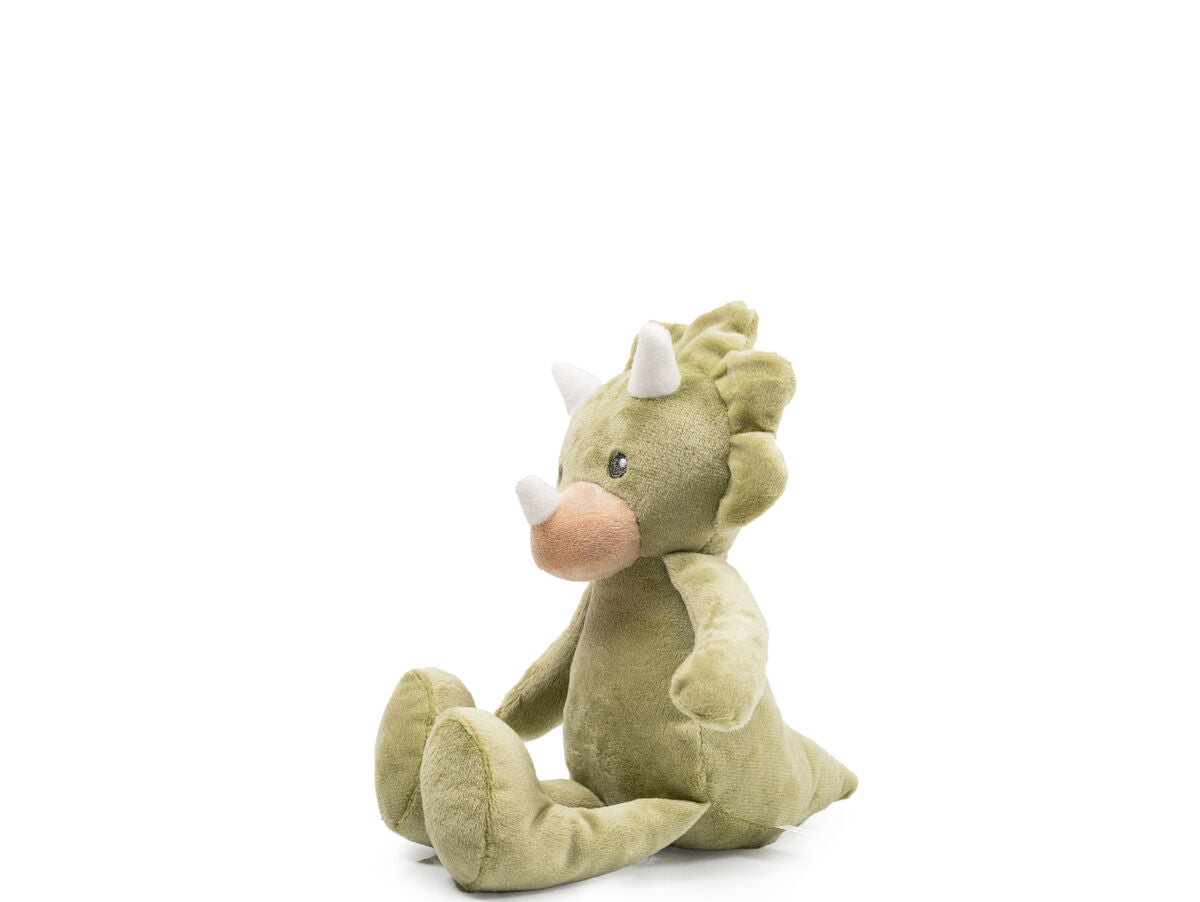 V5H7798D80B129E1D75B2E90320EC8F3802R5574997P1