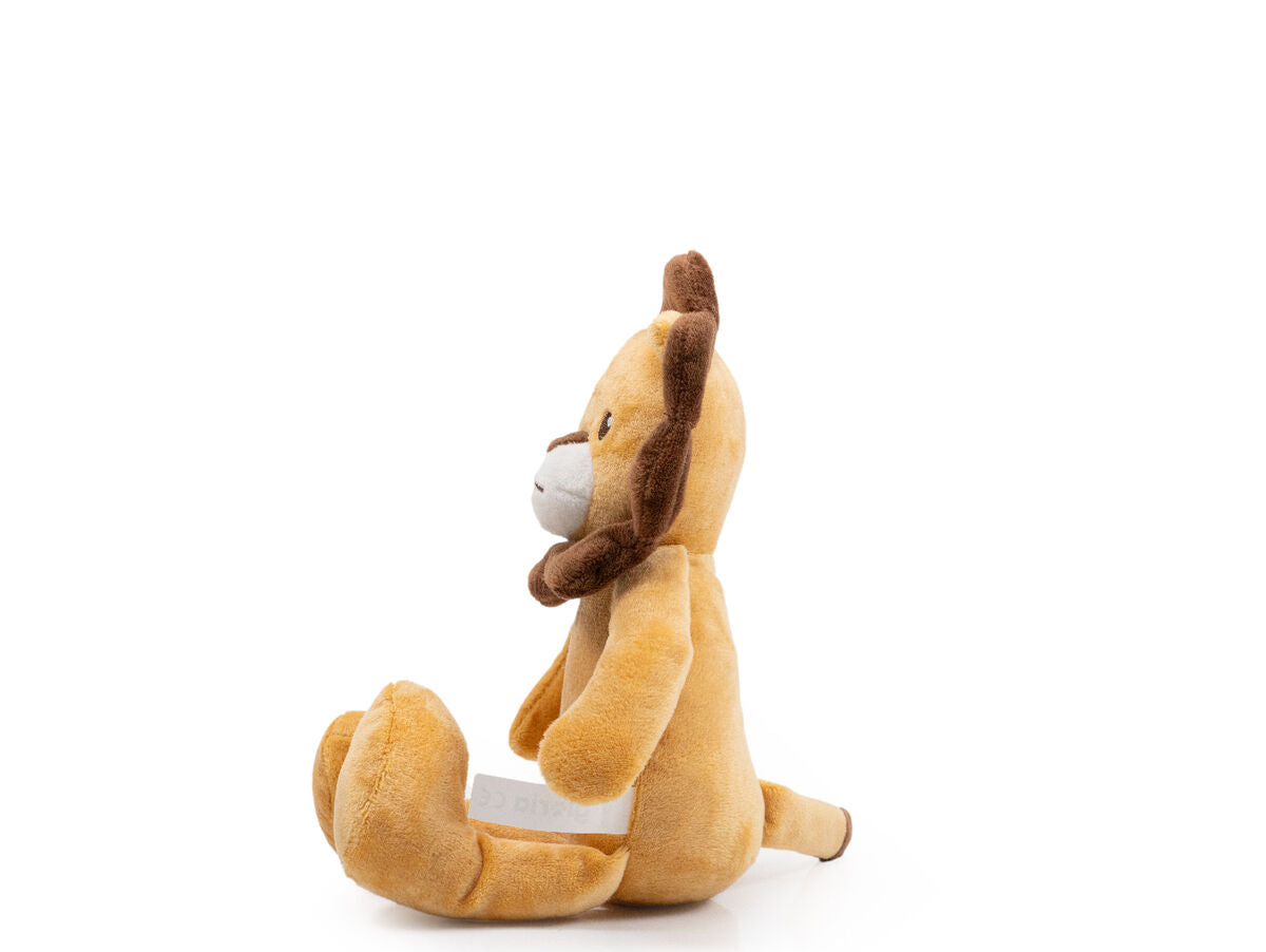 V5HB9F522AEE04DB9F27DA45E25F4614C5BR5575094P2