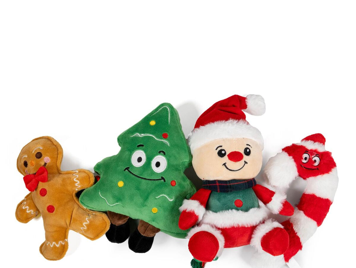 V3H41BF51FFFE11E98D291D5BFE3CD08047R7565804P2