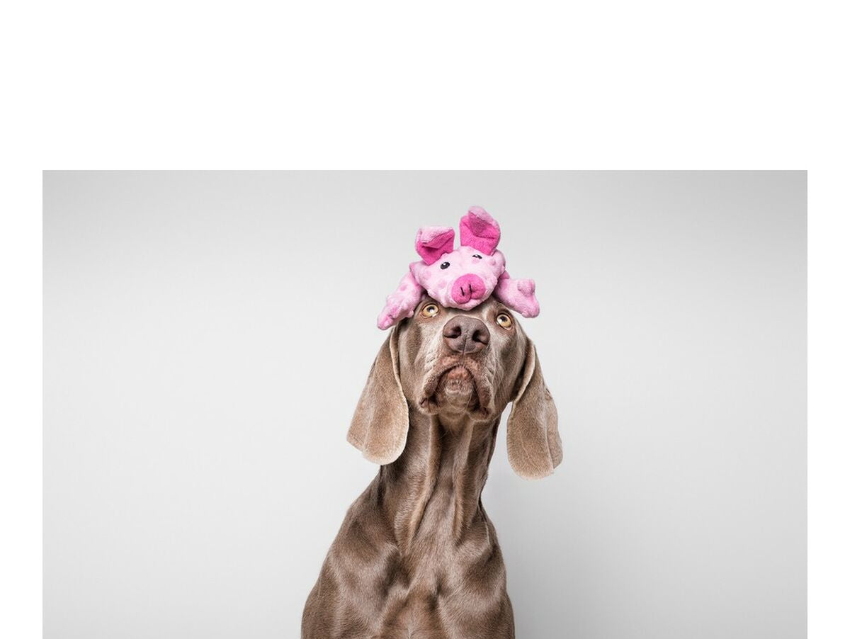 V13H67F0141466A6C707F263730737DDD779R5568084P2