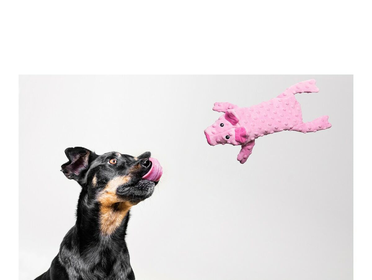 V13H051A088C80BCAB4B41B0FFA5A612FDEFR5568085P3