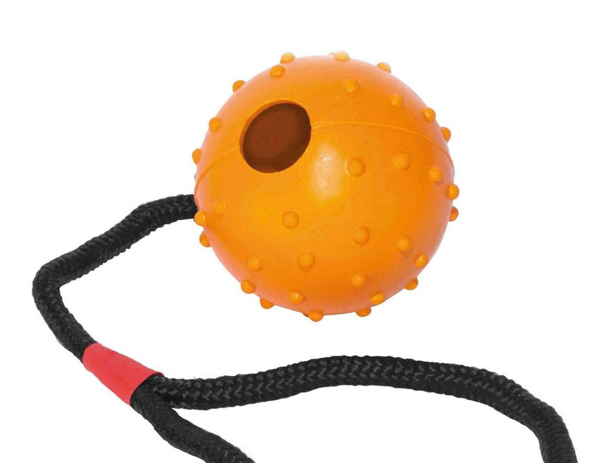 V11H0E55A83D541F3EBAB6C5949100E5B134R4031893P1