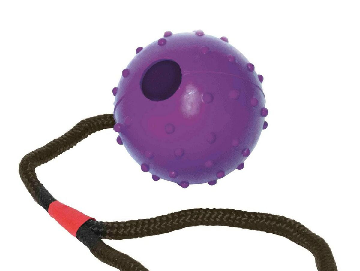 V11H90EBD98E43D6FF9E38D991C5915E9AF7R4031896P2