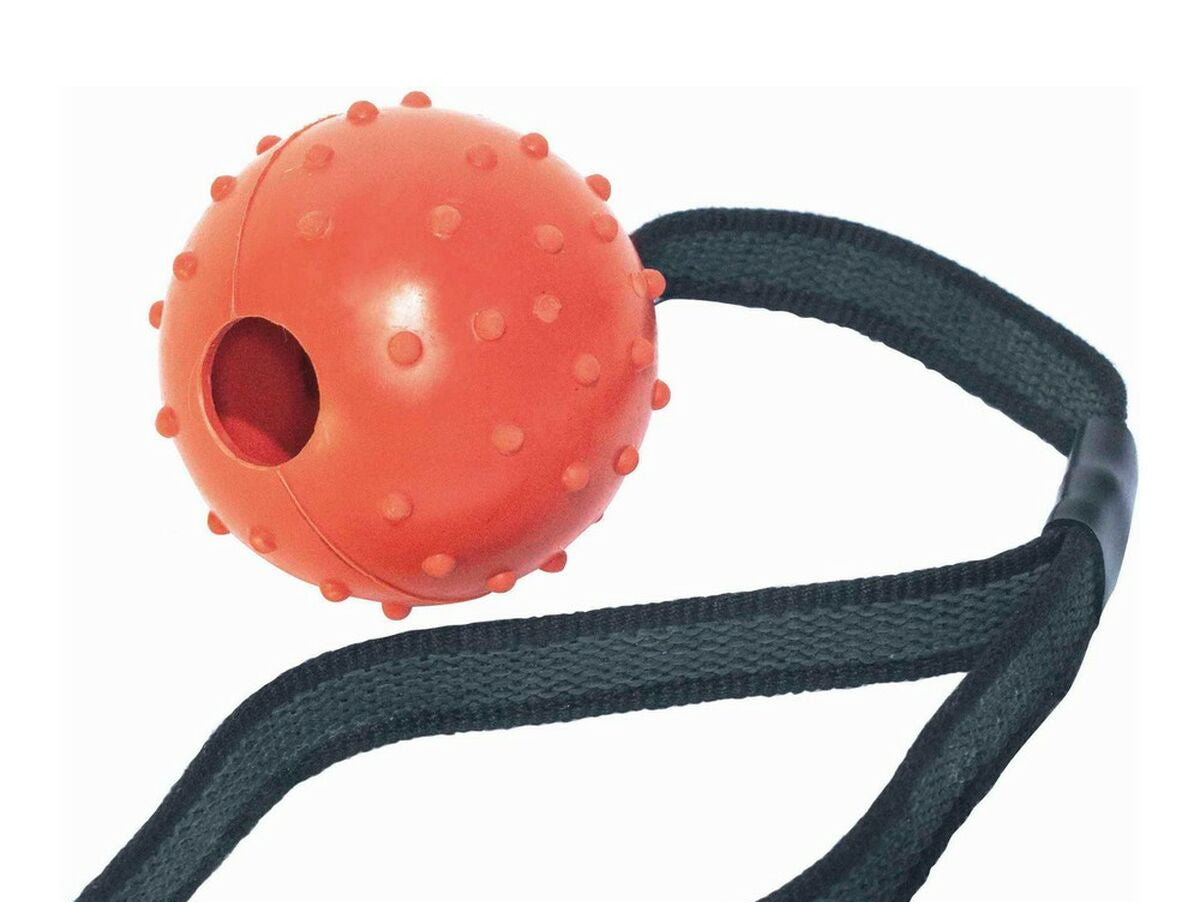 V11H2C0C492288B1F4F2ECD3C4DB7F3B9DD0R3933039P1