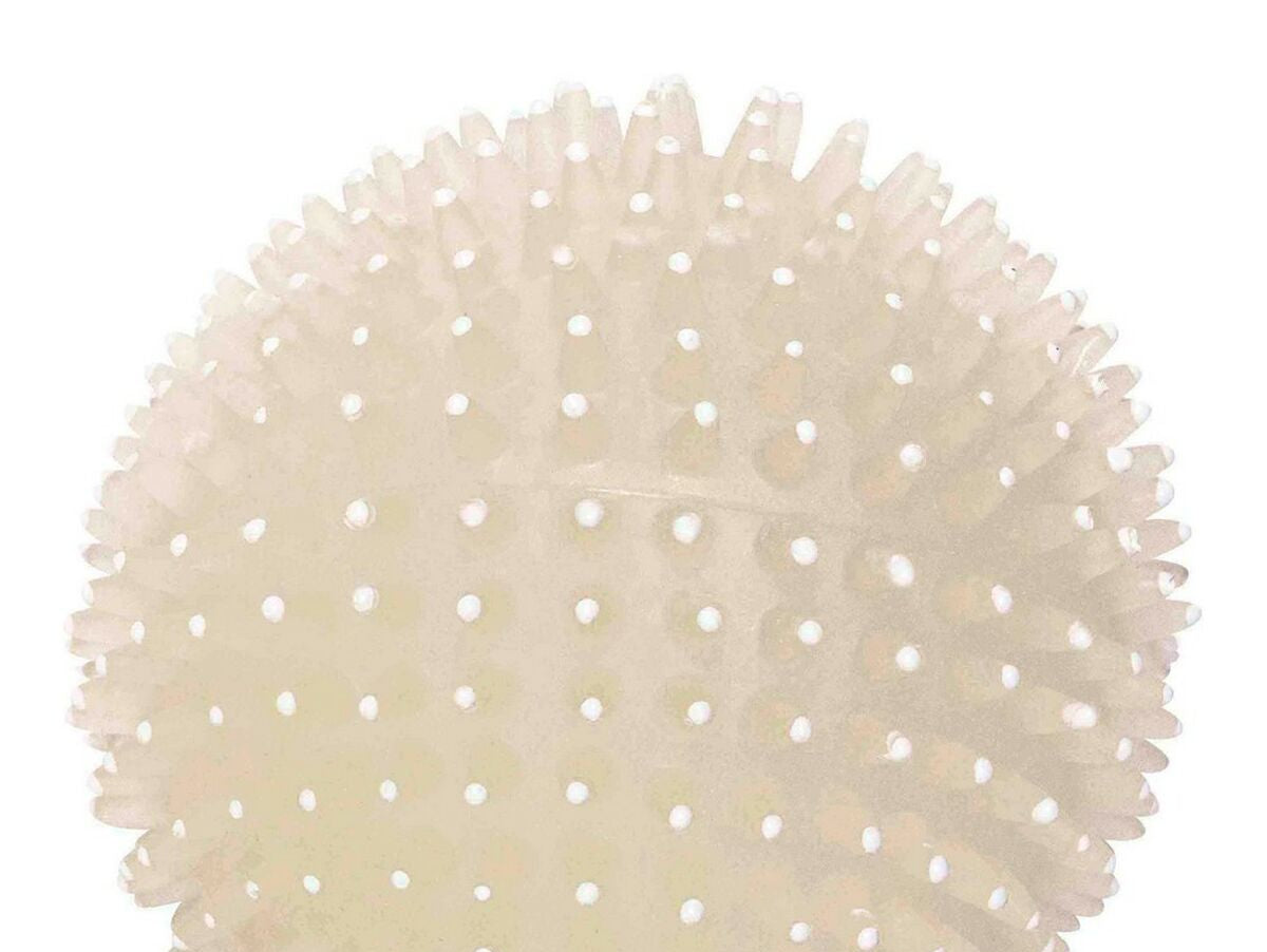 V11H5DCFE57406E3748F29C3E50A5616DA83R3905079P2