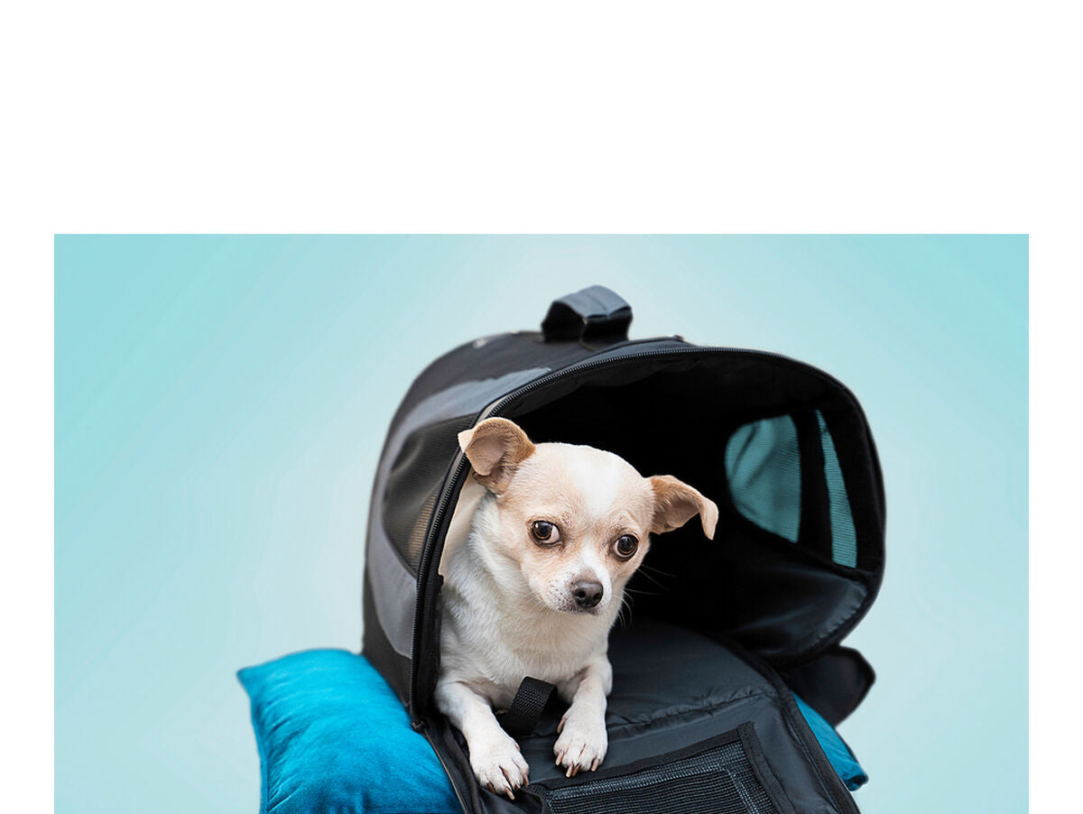 V11HAD005304FB0C2B1CAF2AC8C9FA42A6D3R2353164P2