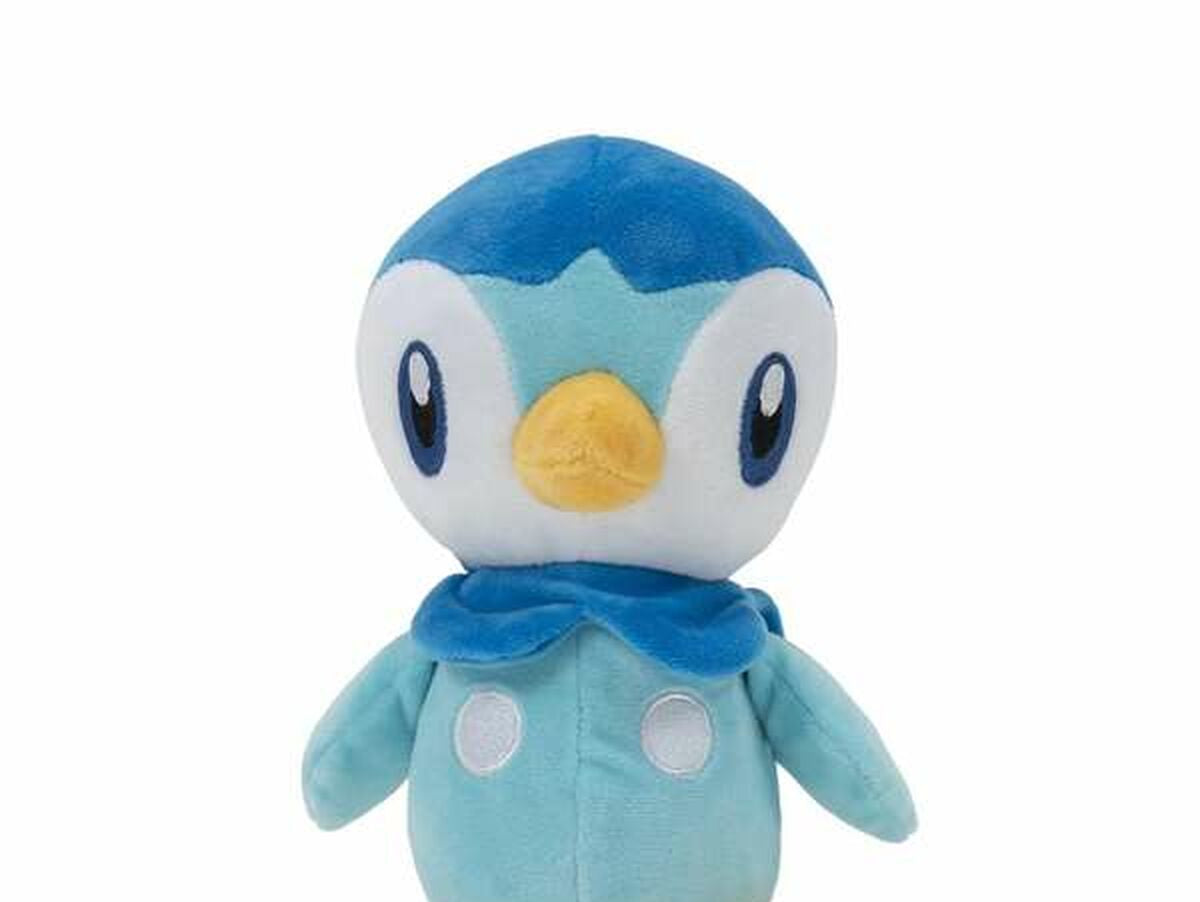 V9HFE01E6CE6E1F0B82306A9FFDEF0B16DDR5255050P7