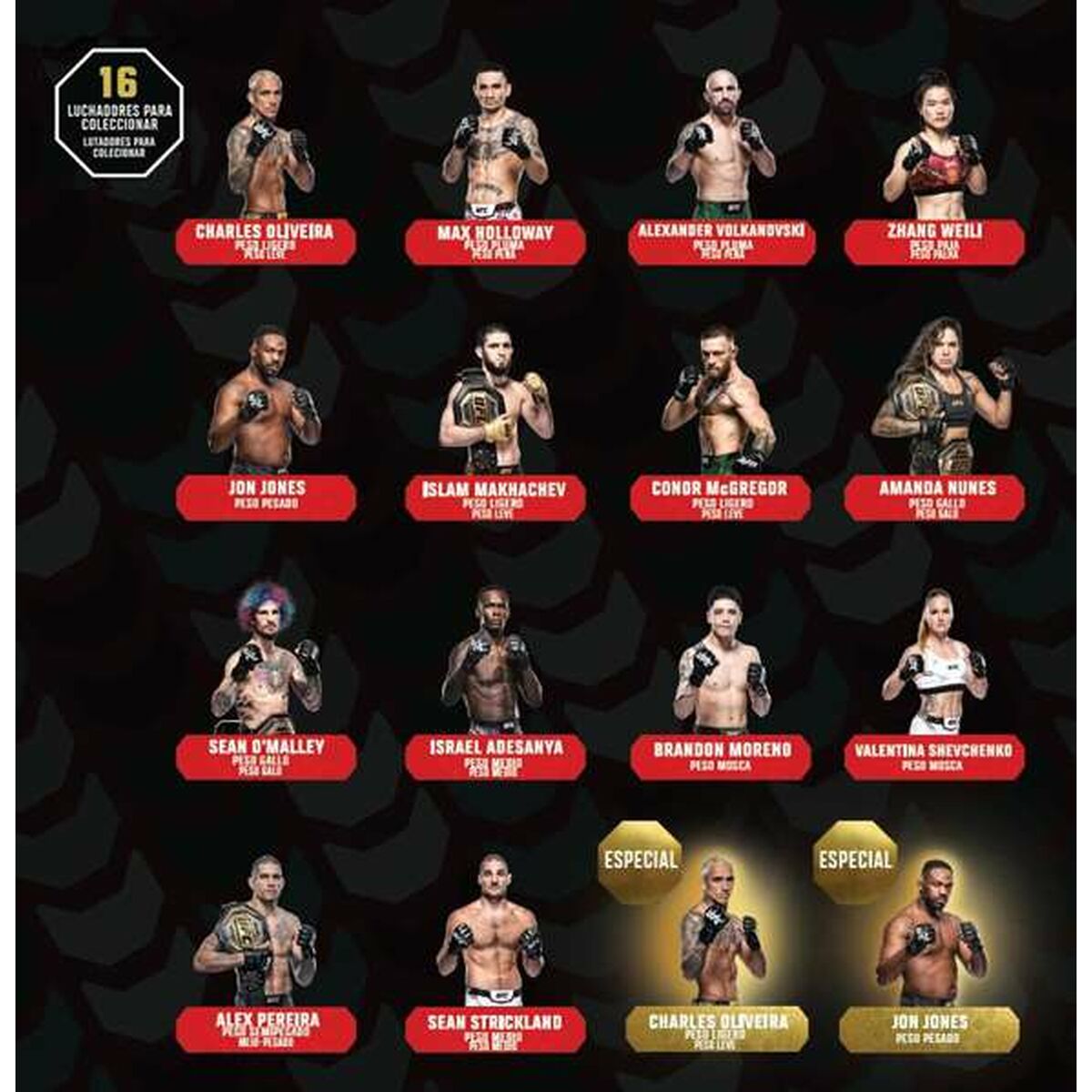 V3H2BE7CDCF3802220F0AA75F39B66FB012R5867880P5