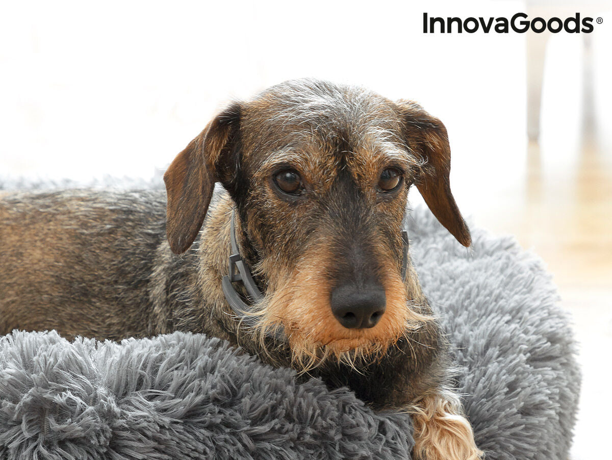 V15HF8C16376A9627267841F9503F3E4C595R5275108P4