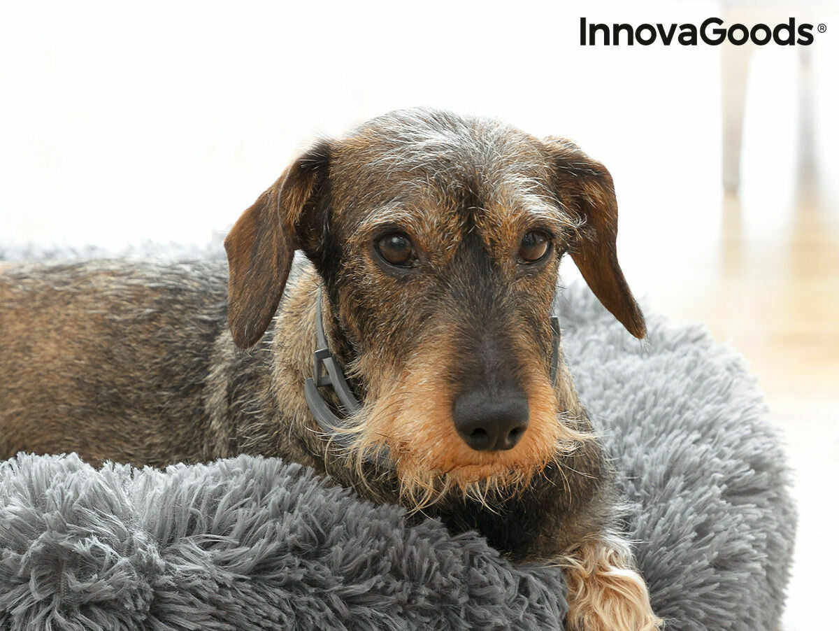 V6H98550AA9B0F05E786AAE6493EC50EC92R7376783P5