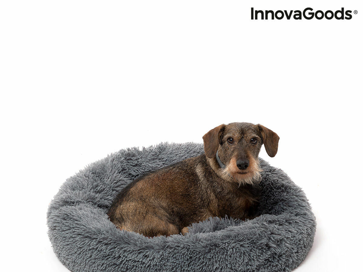 V6HA2E9575BD04A828A2637C212C7C6DC88R7376772P1