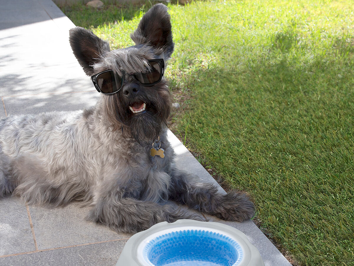 V11H22ED9800ED26680710D31A984EC3F0B5R5277962P4