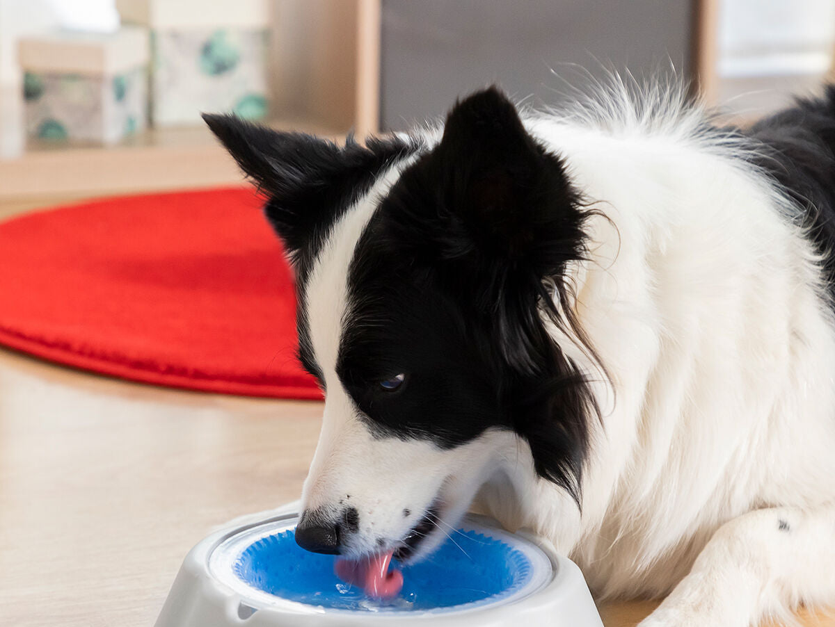 V11H789F93E12CF41FBD8B90783E3D31D2A1R5277965P5