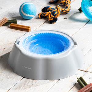 V11H1CE1009615311B0F90B35490D8A894F1R5277971P7