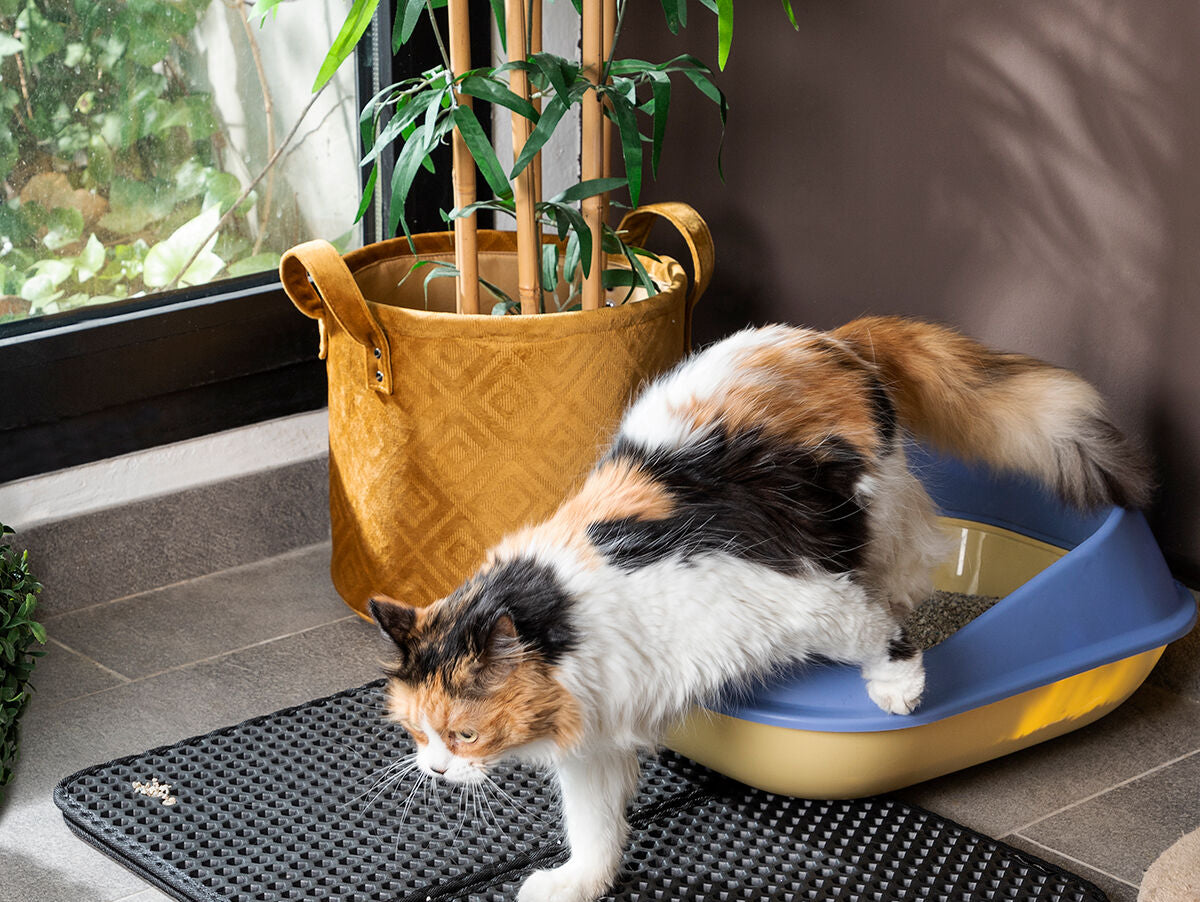 V11H94B745E0DBCB1C85F6325630803FE390R5255840P1