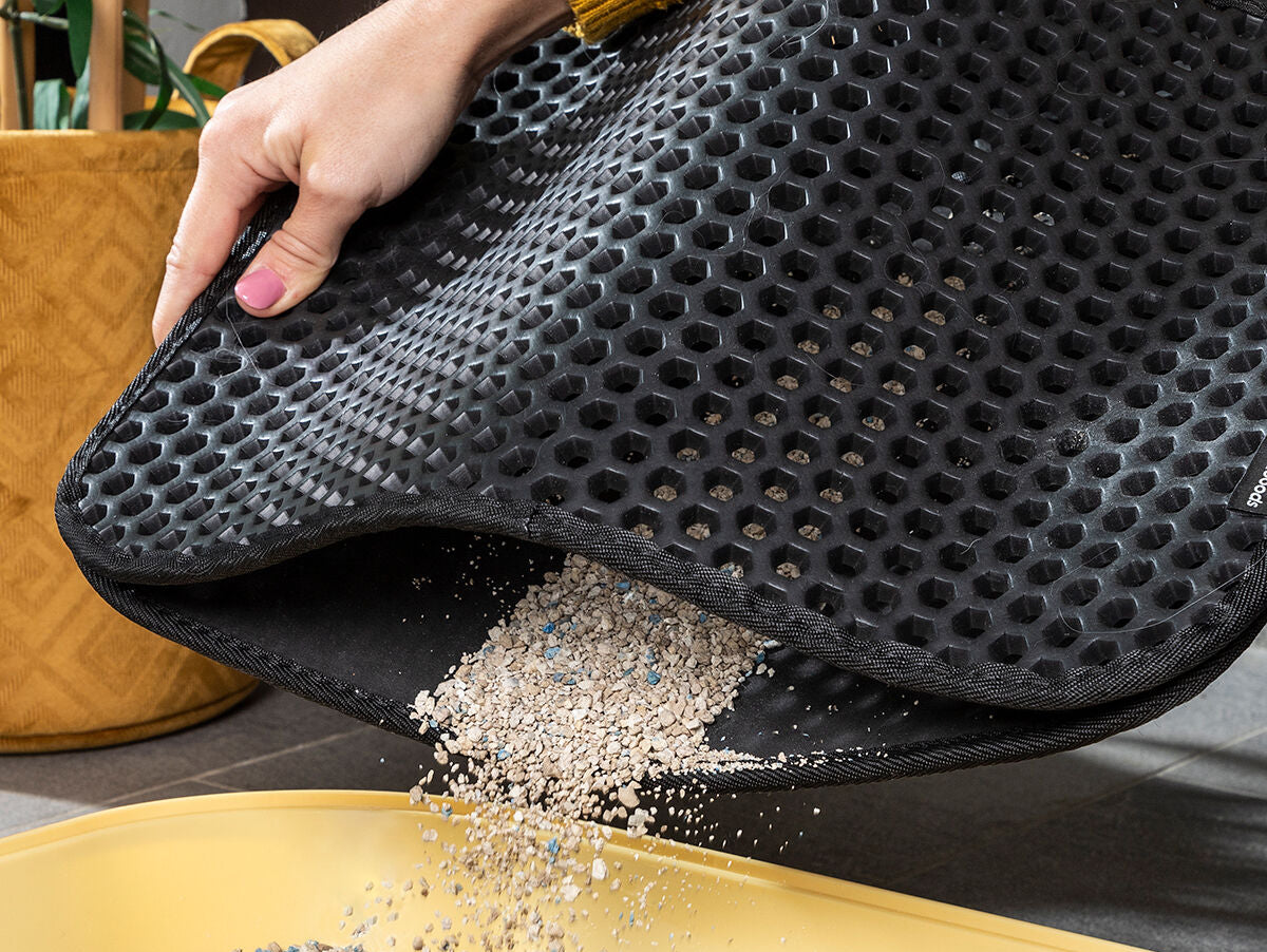 V11HE8E7CB603A3F93CB3756F1997FC4F59AR5255846P2