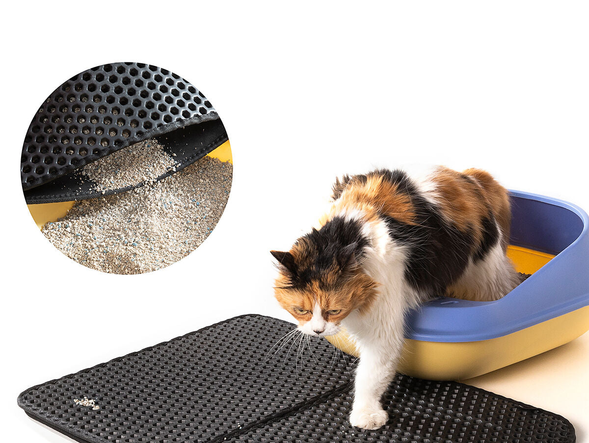 V11H8A83548A2935BF4E1CD714F9AB477577R5255870P9