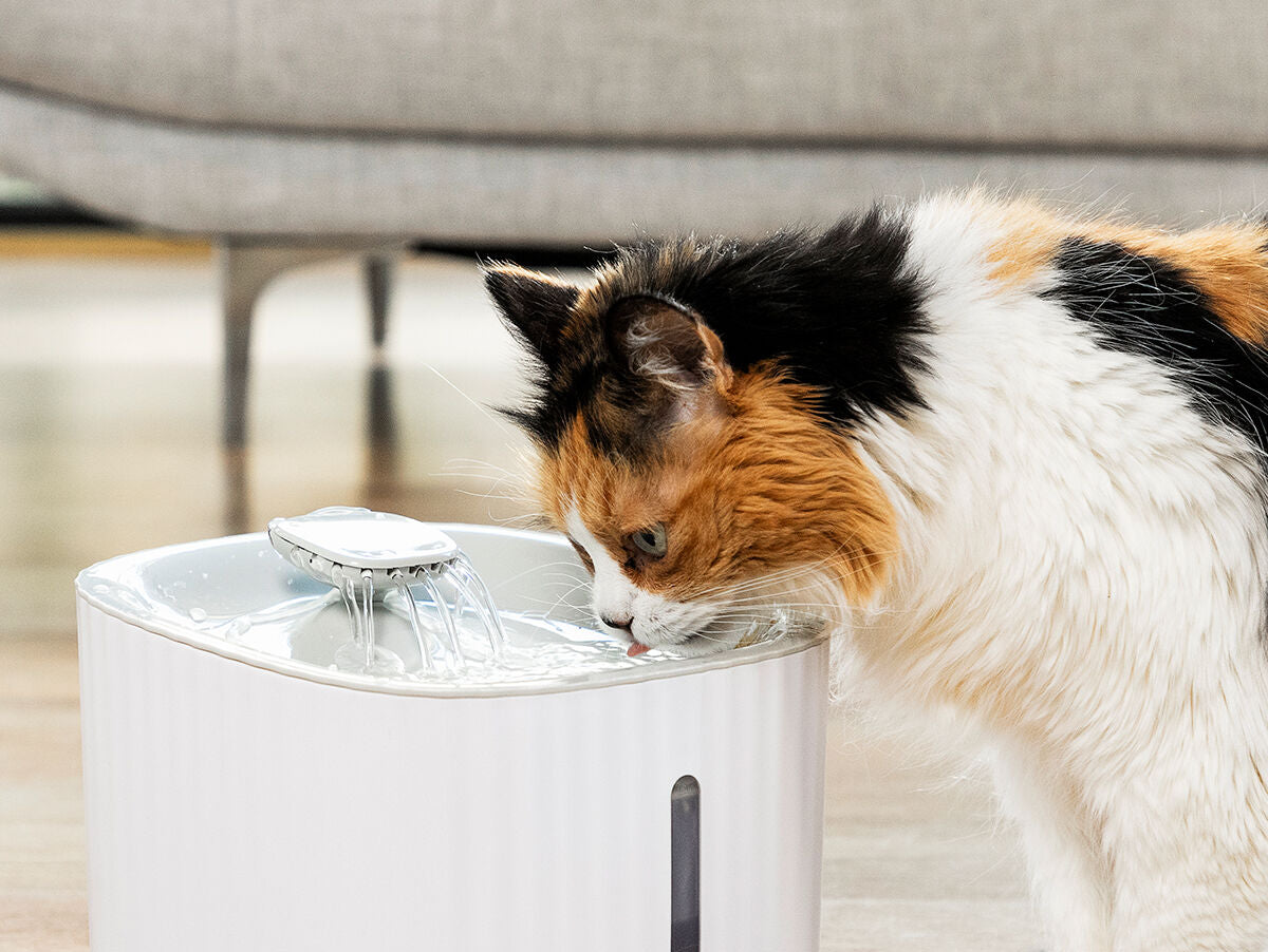 V11HB55C621FC89CD1B9770F30C76066F965R5279168P1