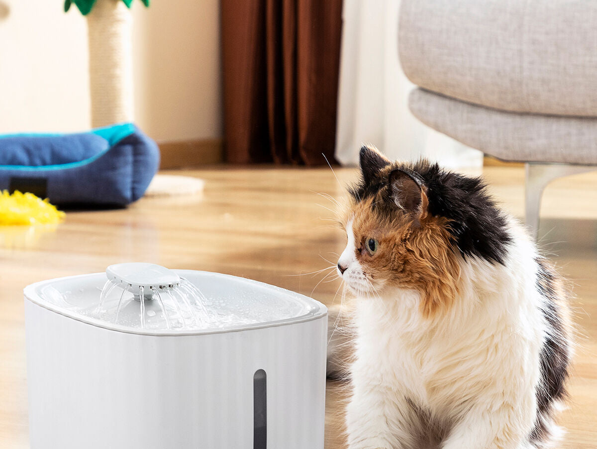 V11H6750ED9074CCF3D225AFE917EF8881E1R5279174P3