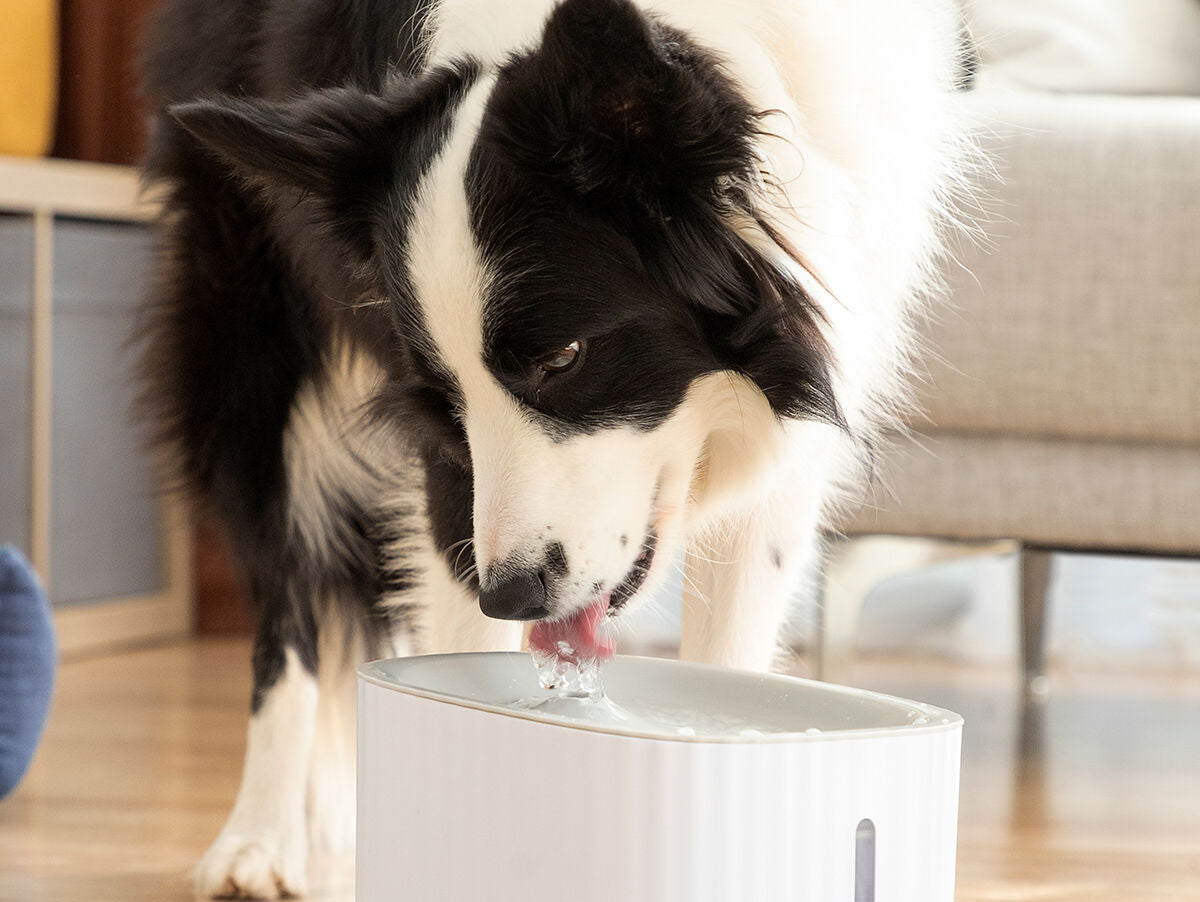 V11H187FC2F7020846671546A6DC1097EB4AR5279177P4