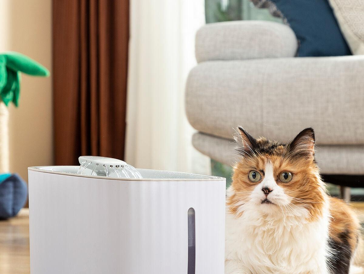 V11H7F7267B89042A605A9DDA087A8072144R5279184P7