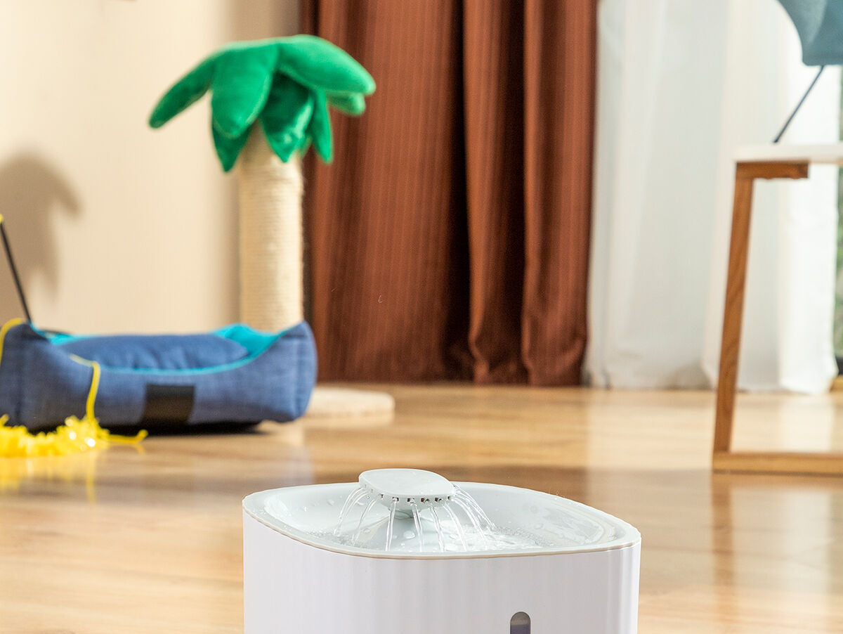 V11H74F0C96505F179F21085380CD84CAD23R5279187P8