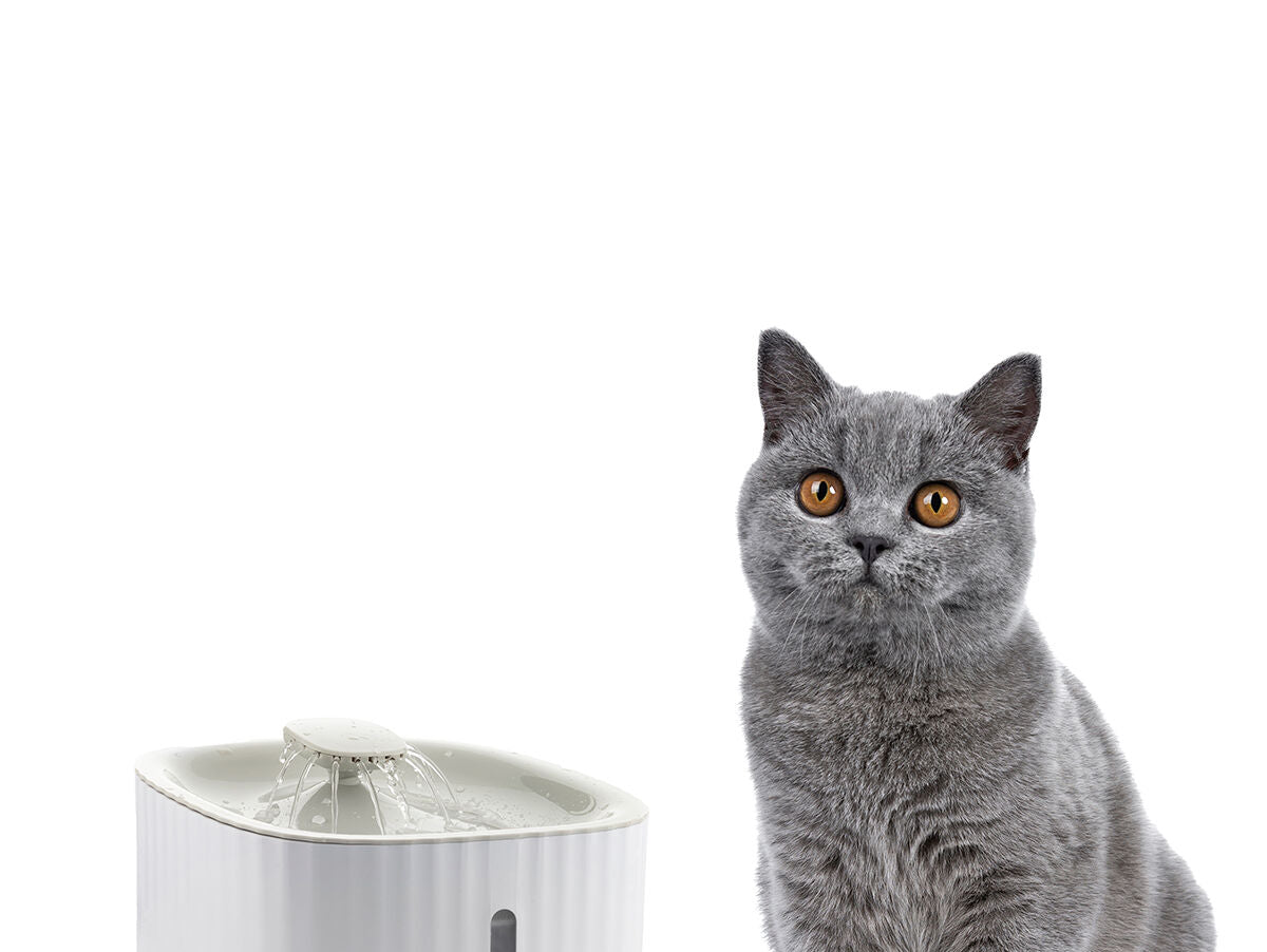 V11H2B9920EF485E1FEEE34A6D3FC4A89874R5279191P9