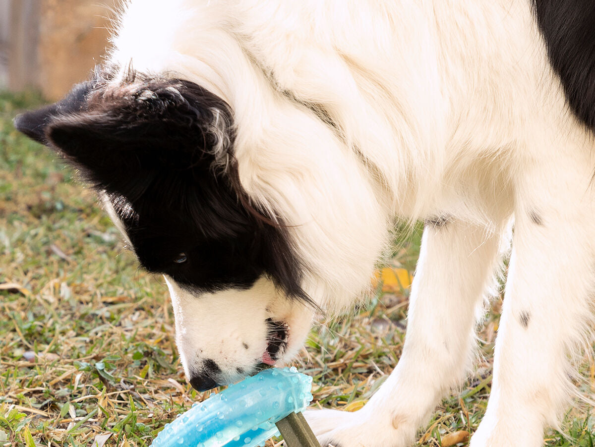 V14H31BB5867F454DB014A283ED8D082FD8AR5279731P5