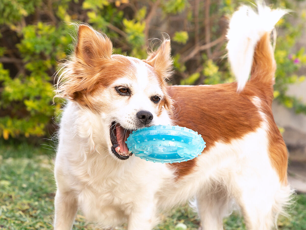 V14H3A95EBBD157235F9B4F876CB4C0C1A46R5279733P6