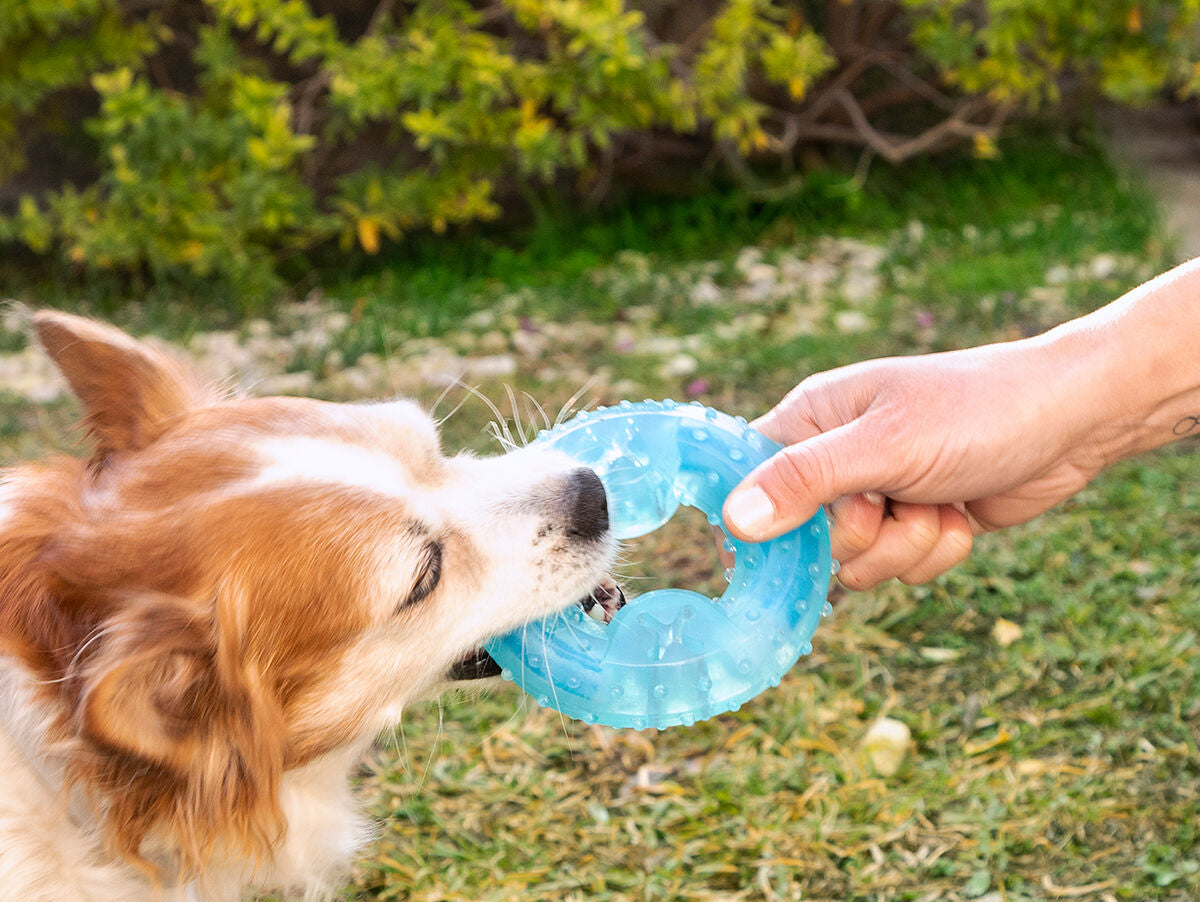 V14H48124621AC2503D744697D4751EF957CR5279738P8