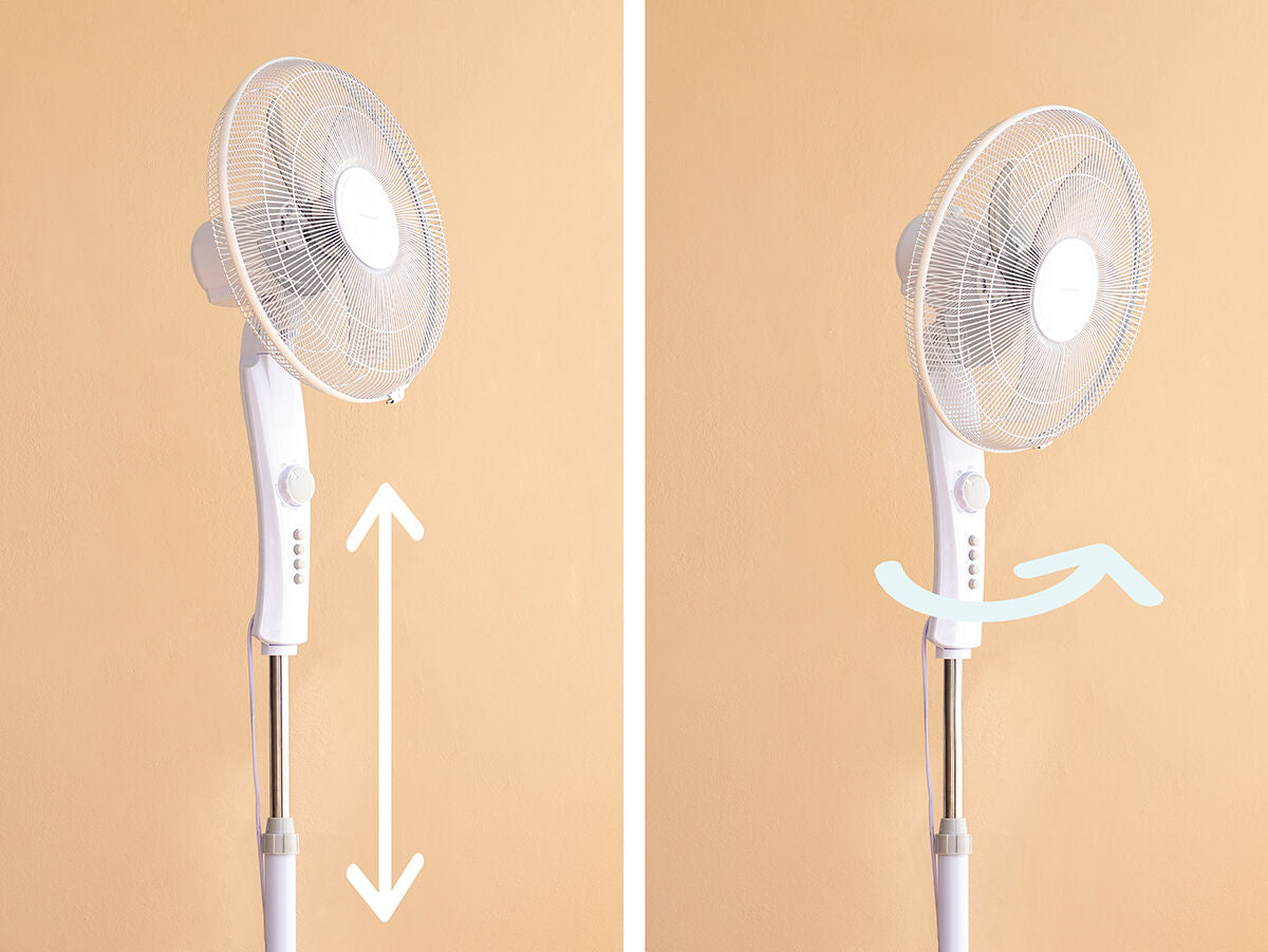 V11H8DEF8E02A0C24291FDB3836F023D316DR5260546P3