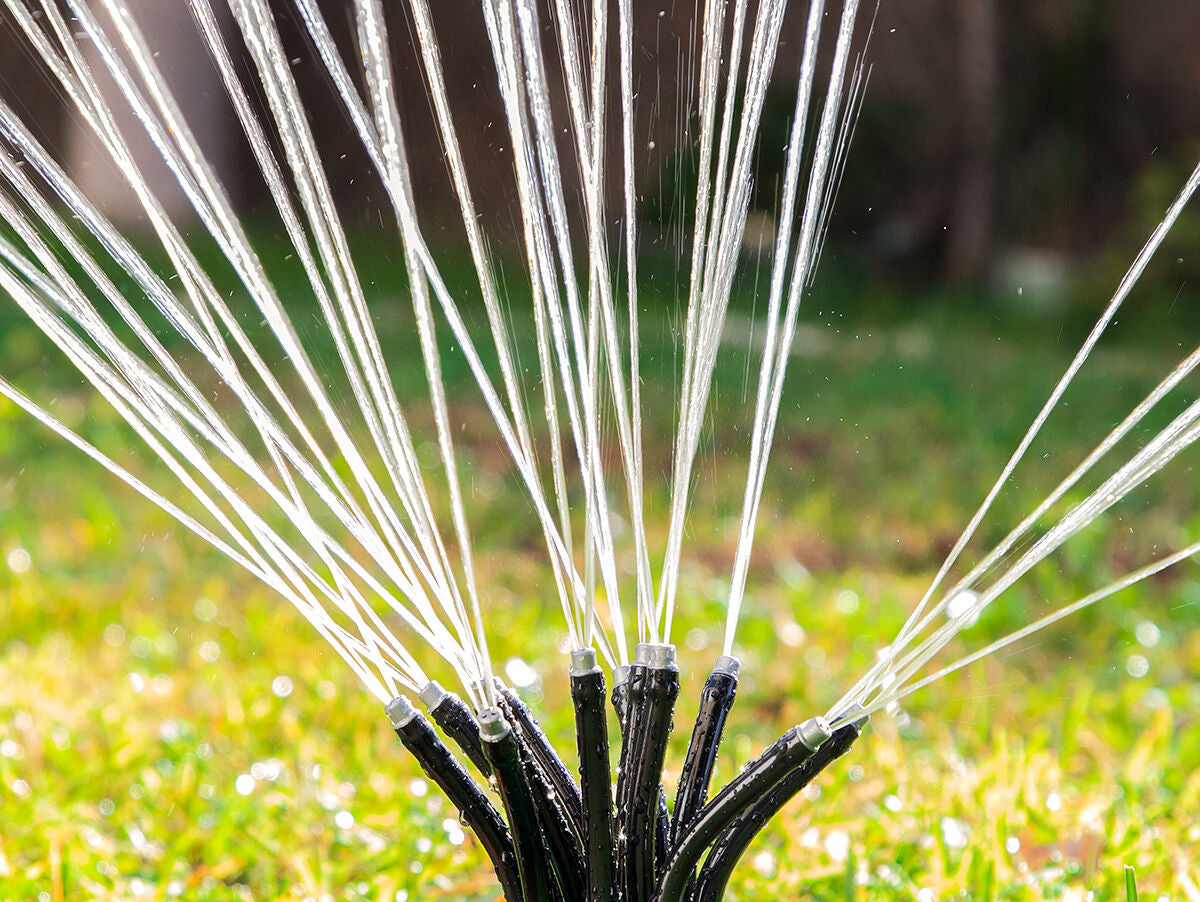 V11HB0F196982AABC82668EB1C33B5F07E37R5278562P2